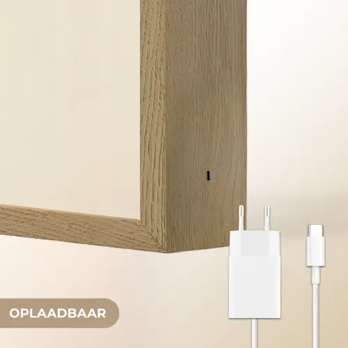 Vleugel - Zwart - Abstract - Illustratie Light Box met batterij (Wandlamp) middel -USP_websiteoplaadbaarNL