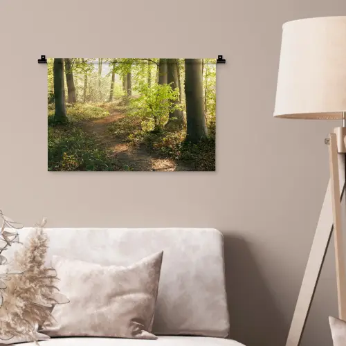 Bos - Bomen - Pad - Zon - Planten - Bladeren - Natuur Wandkleed katoen klein -sfeer4