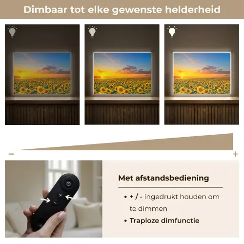 Bloemen - Zonnebloem - Zonsondergang - Nacht - Oranje Light Box met batterij (Wandlamp) middel -USP_dimbaarNL