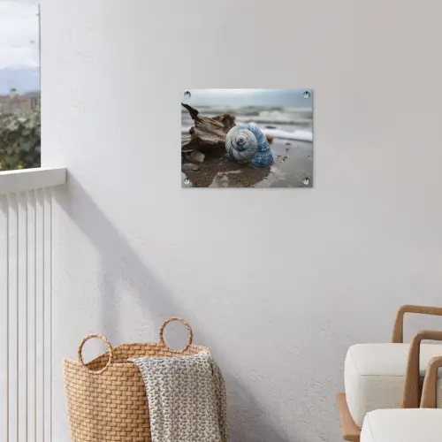 Schelp - Strand - Blauw - Zee tuinposter los doek klein -sfeer8