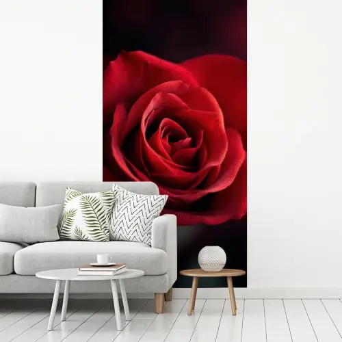 Rood - Roos - Romantisch fotobehang vinyl groot -woonkamer