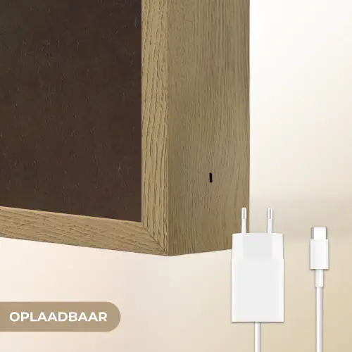 Meisje met de parel - Schilderij - Oude meesters - Vermeer Light Box met batterij (Wandlamp) middel -USP_websiteoplaadbaarNL