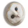 Uil - Bruin - Wit Akoestische PET Vilt - Rond klein -3d