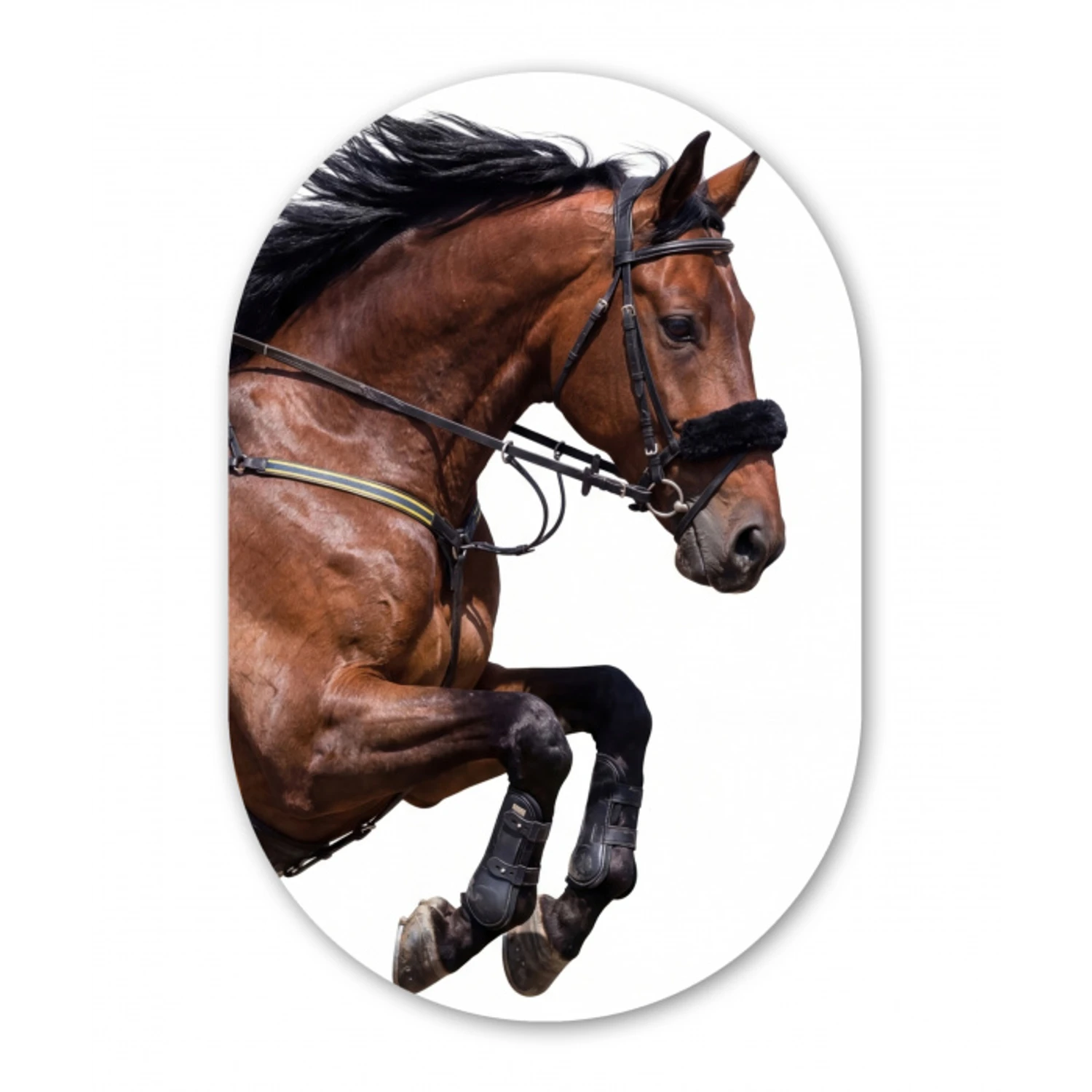 Paard - Springen - Modern Wandcirkel Ovaal Aluminium middel -3d