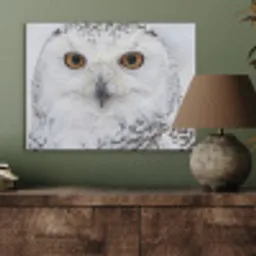 Sneeuwuil - Oog - Wildlife - Wit PET vilt klein -sfeer2