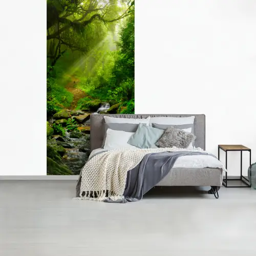 Jungle - Water - Bladeren - Zon - Natuur fotobehang vinyl groot -slaapkamer