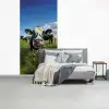 Koe - Tong - Weide fotobehang vinyl groot -slaapkamer