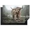 Heerser van de Mist Inductie beschermer vinyl 3mm klein -3d