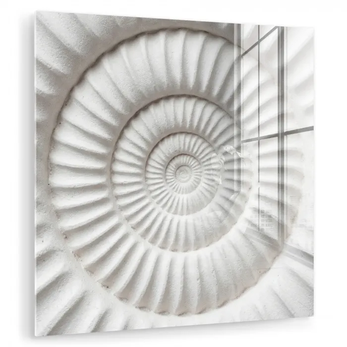 Schelp - Spiraal - Wit plexiglas 5mm klein -zzzproduct_nieuw