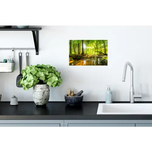 Bos - Landschap - Water - Bomen - Zon - Groen Muursticker klein -keuken