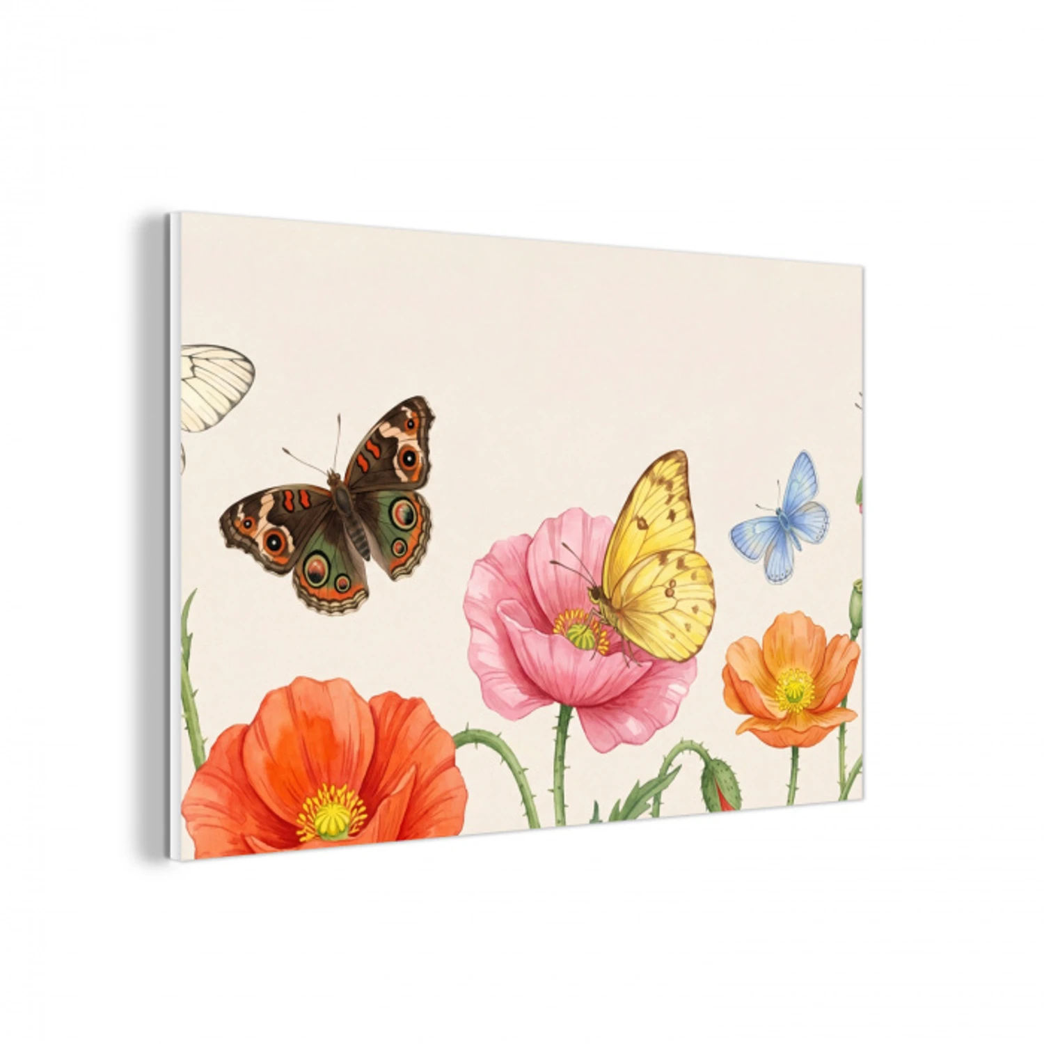Vlinders - Klaprozen - Illustratie - Kleurrijk forex 5mm xxl -3d