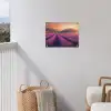 Lavendelveld - Zonsondergang - Paars tuinposter los doek klein -sfeer8