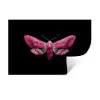 Vlinder - Roze - Nachtvlinder Muursticker klein -3d