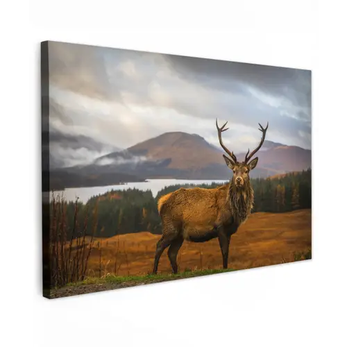 Hert - Berg - Water - Landschap - Dieren - Bomen canvas 2cm klein -z3d