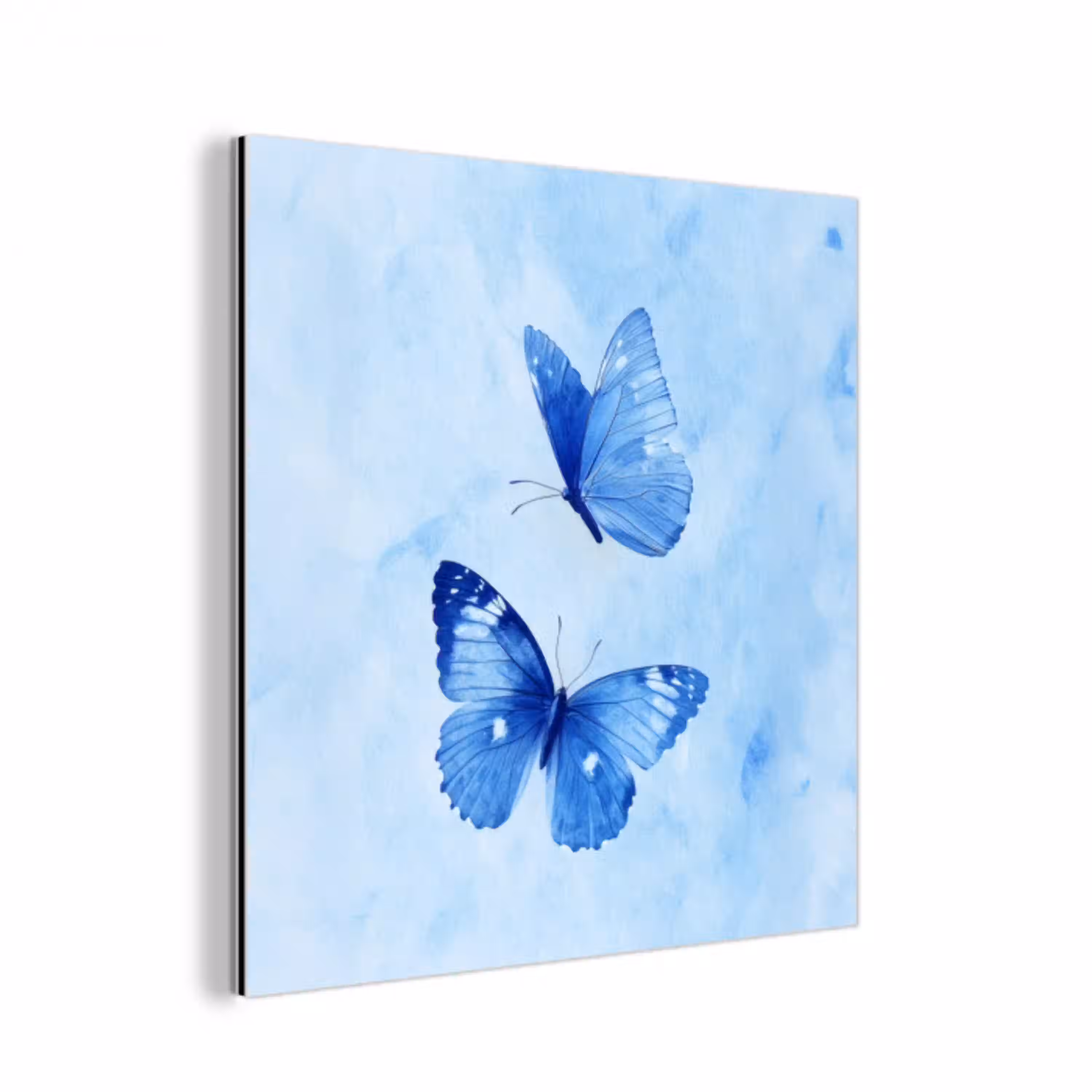 Vlinders - Sierlijk - Blauw aluminium wit klein -3d