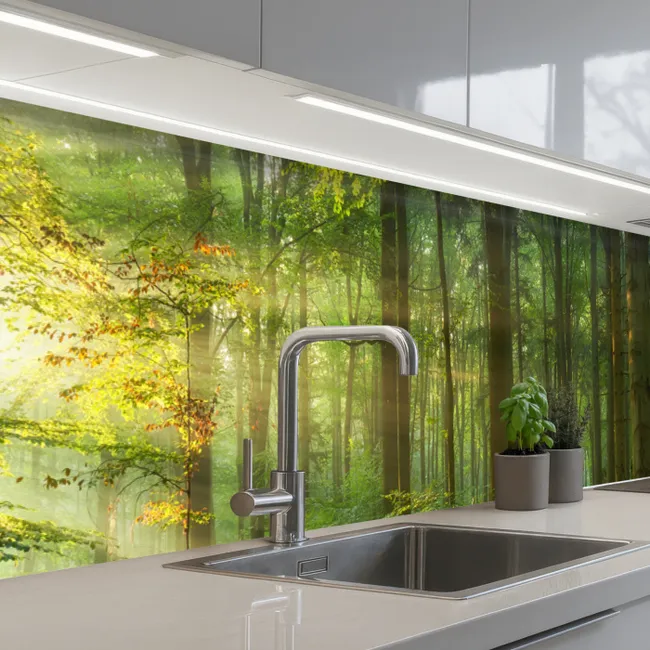 Keuken achterwand - Zon - Bos - Bomen - Natuur - Herfst