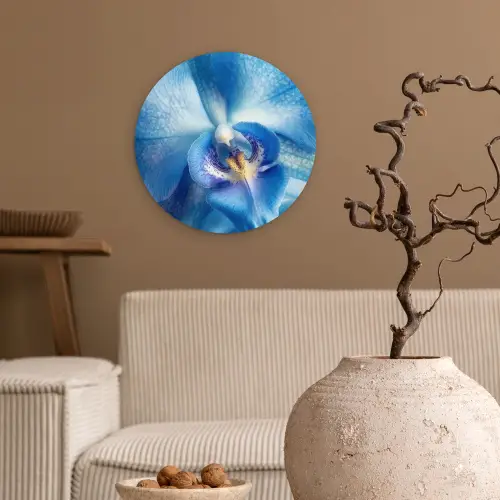 Blauw - Orchidee - Elegeant Wandcirkel kunststof plaat 5mm dik klein -sfeer1