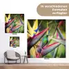 Kleurrijke vogel tussen allemaal kleurrijke platen tuinposter los doek klein -Xsfeer9_DE