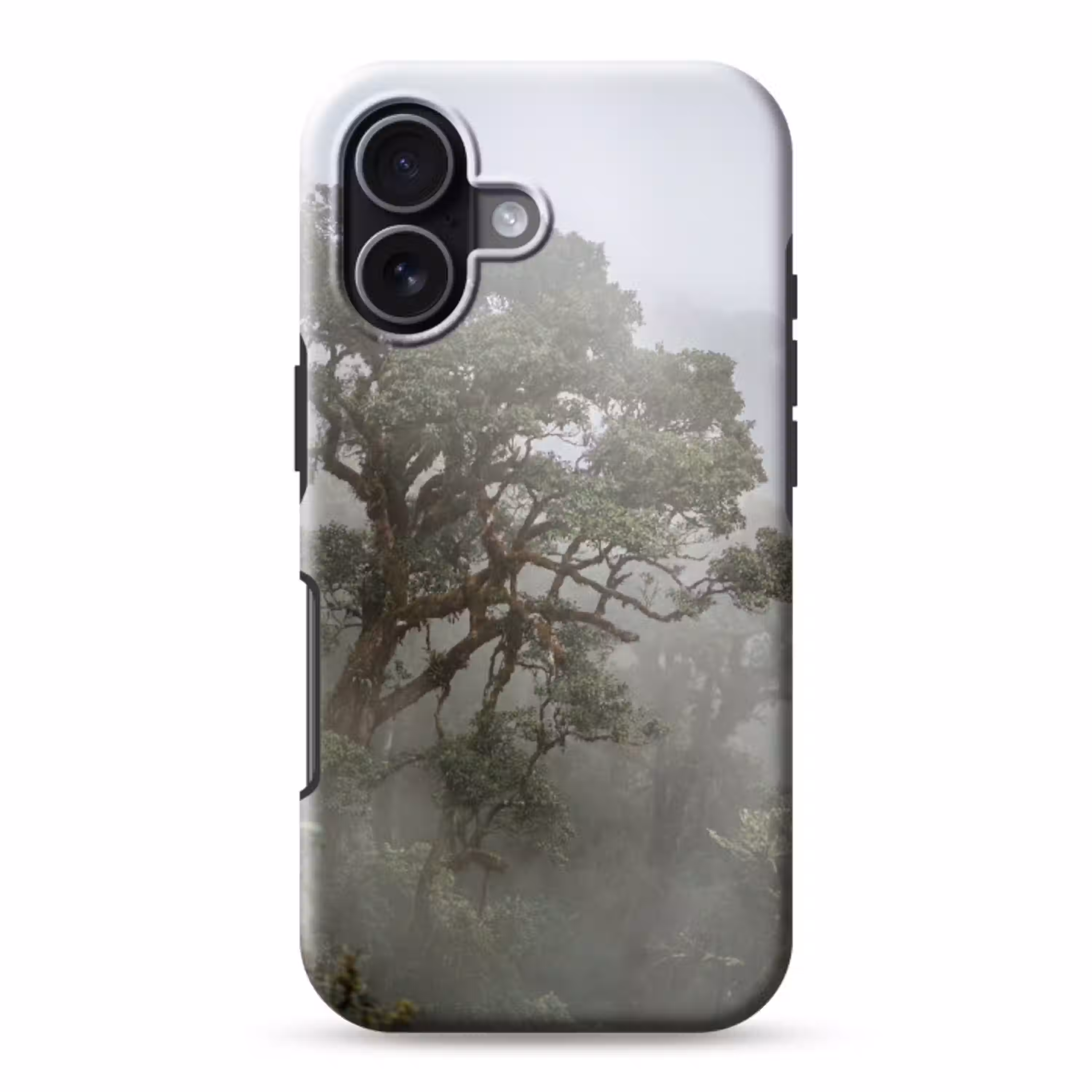 Boom - Mistig - Bos - Groen - Natuur Toughcase MagSafe Apple iPhone 17 klein -3d