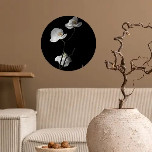 Orchidee - Bloemen - Zwart - Wit - Stilleven Wandcirkel behangsticker klein -sfeer1