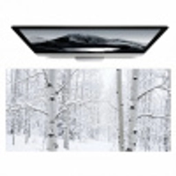Berkenbomen - Sneeuw - Winter - Bos - Wit Muismat XXL klein -zzz3d