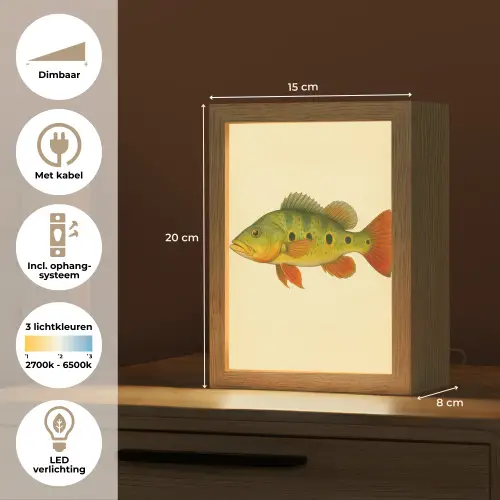 Schubben - Vis - Groen - Illustratie Light Box met kabel (Tafellamp) klein -USP_NL