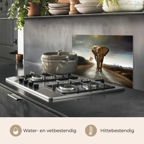 Olifant - Weg - Dieren - Zonsondergang - Landschap keuken achterwand spatscherm klein -usp_NL