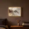 Schaap - Oog - Wit Light Box met batterij (Wandlamp) middel -sfeer4