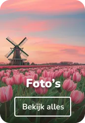 Vilt schilderijen foto's