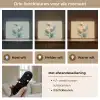 Paradijsvogelbloemen - Blauwgroene bladeren - Beige Light Box met batterij (Wandlamp) middel -USP_lichtkleurNL