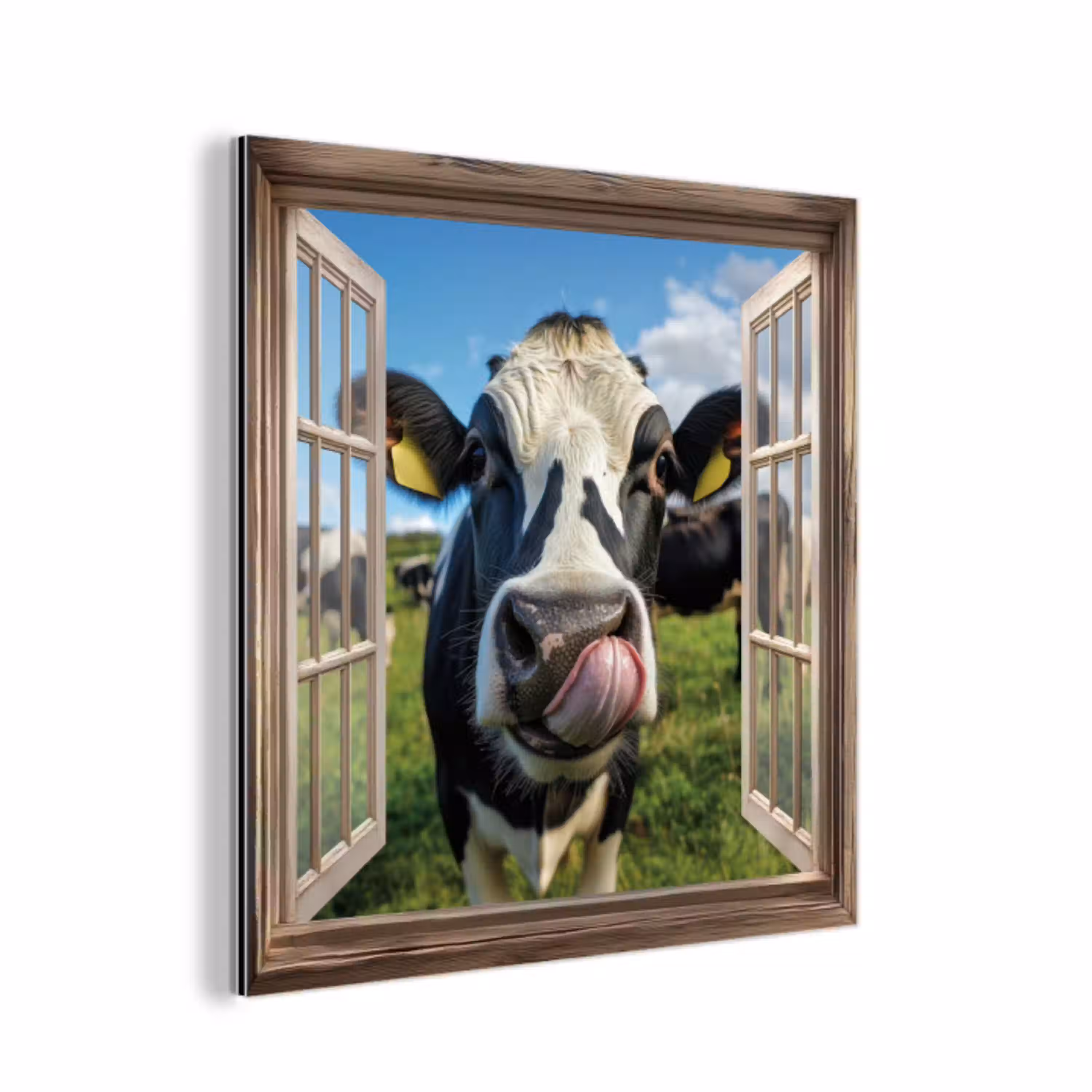 Doorkijk - Koe - Weiland - Dieren - Natuur aluminium wit klein -3d