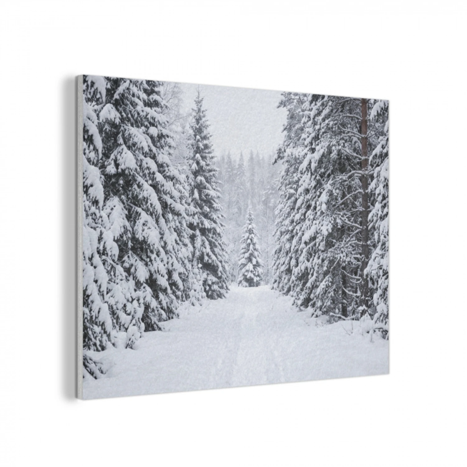 Bos - Winter - Sneeuw - Pad - Natuur PET vilt klein -3d