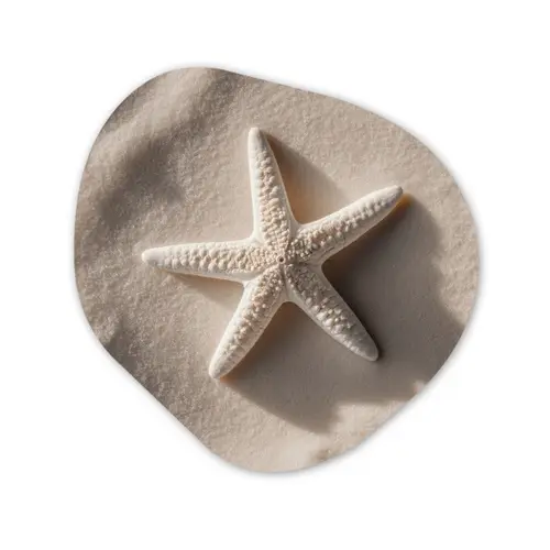 Strand - Zeester - Zand - Beige Wandcirkel Organisch Plexiglas middel -3d