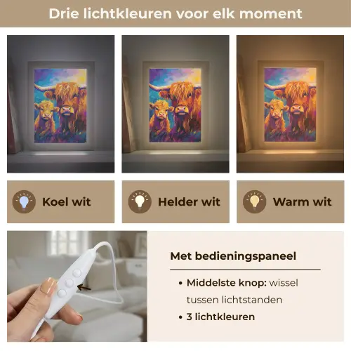 Schotse hooglander - Koeien - Dieren - Kunst Light Box met kabel (Tafellamp) klein -USP_lichtkleurNL