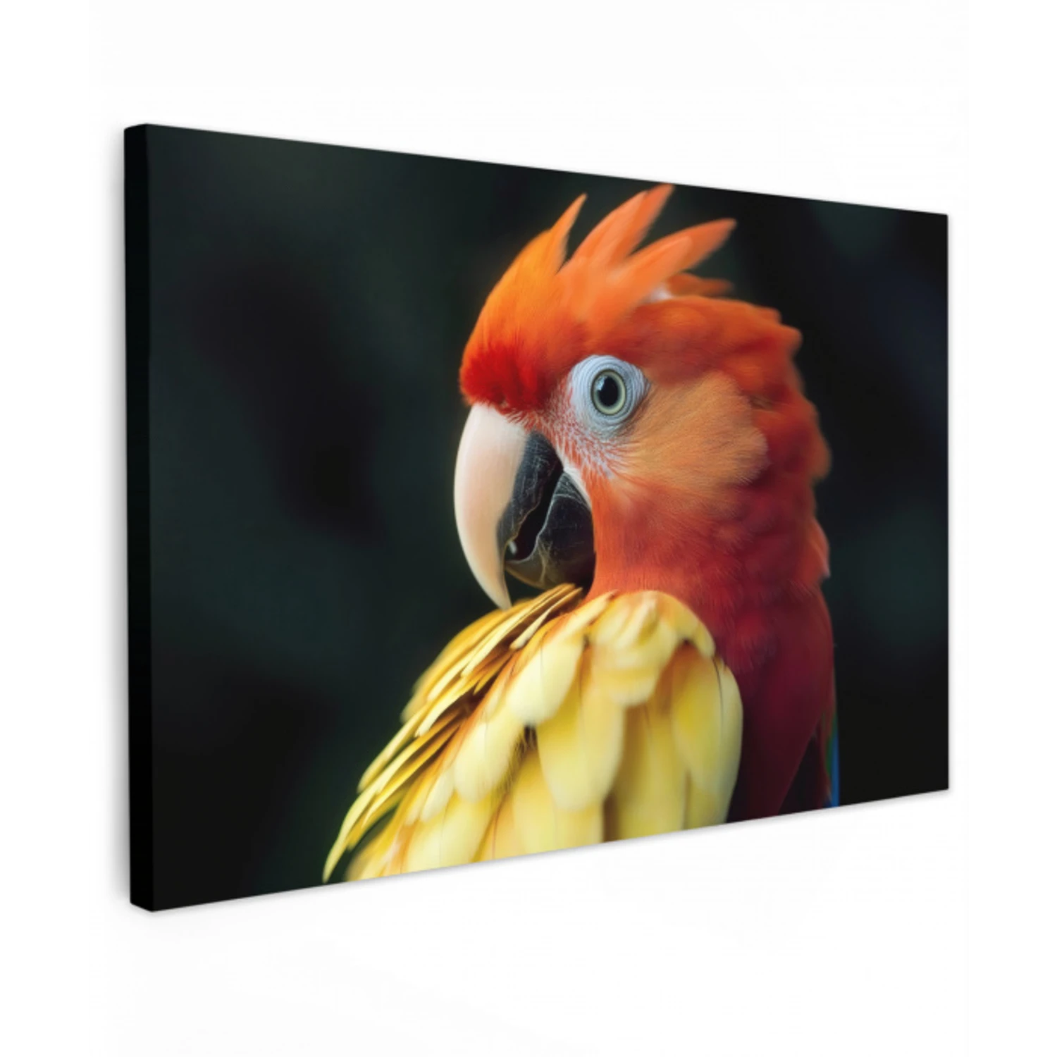 Close-up - Papegaai - Veren - Oranje Tuinposter op houten frame 2 cm dik klein -3d