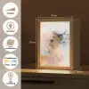Abstract - Pastel kleuren - Goud - Modern - Aesthetic Light Box met kabel (Tafellamp) klein -USP_websiteoverzichtNL