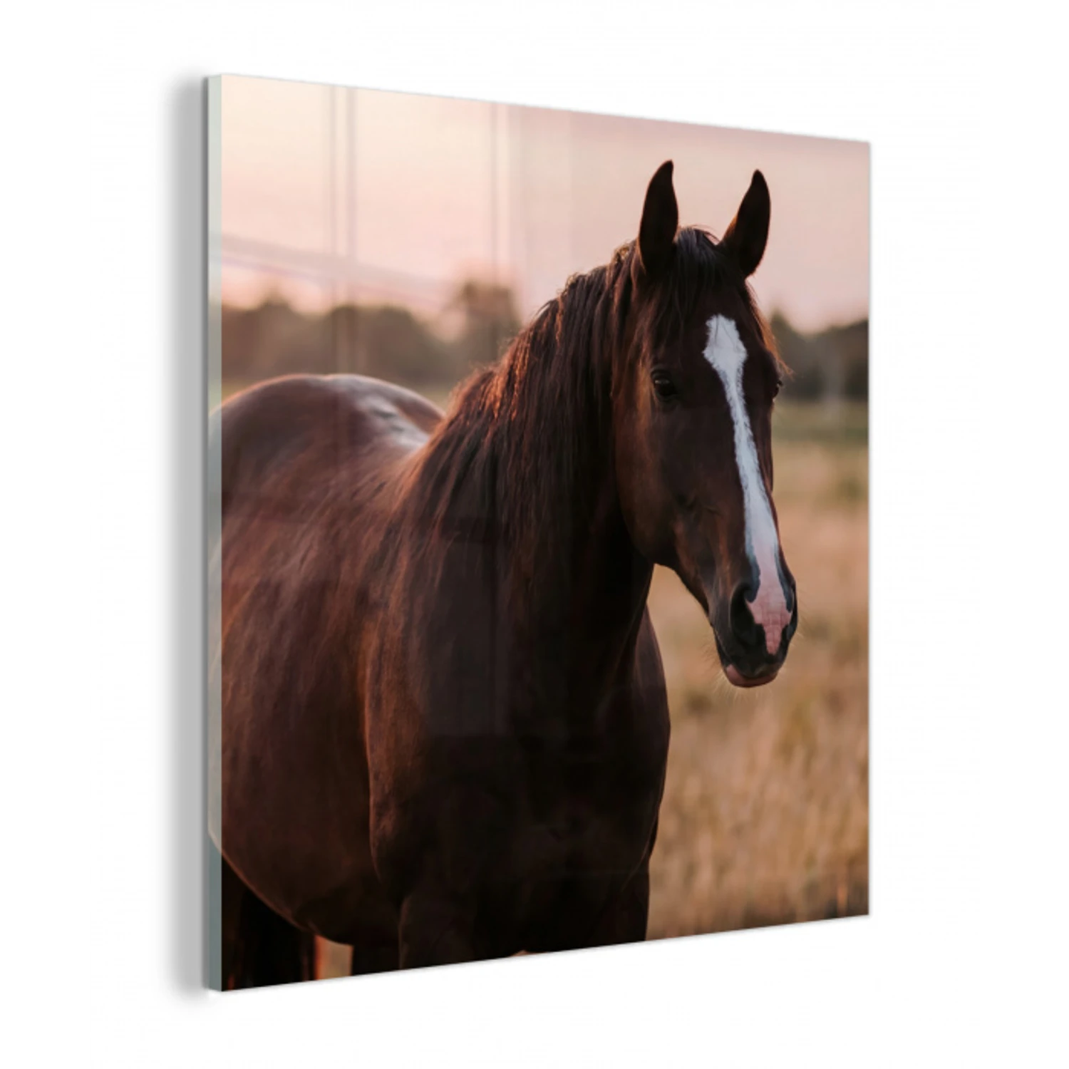 Paard - Zonsondergang - Bruin plexiglas 5mm klein -z3d