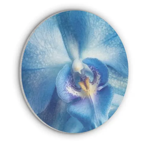 Blauw - Orchidee - Elegeant Akoestische PET Vilt - Rond klein -3d
