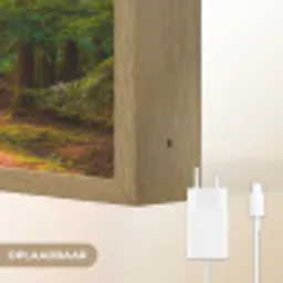 Bos - Pad - Bomen - Groen - Zon - Natuur Light Box met batterij (Wandlamp) middel -USP_websiteoplaadbaarNL
