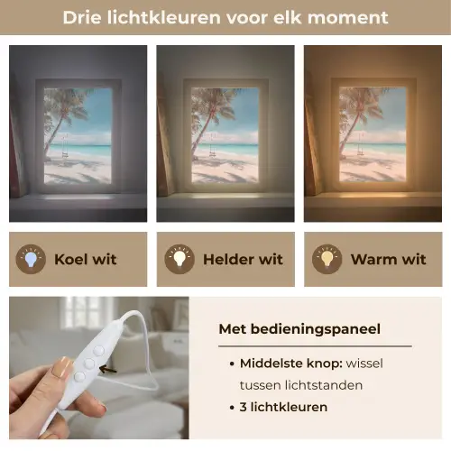 Palmboom - Schommel - Strand - Lucht Light Box met kabel (Tafellamp) klein -USP_lichtkleurNL