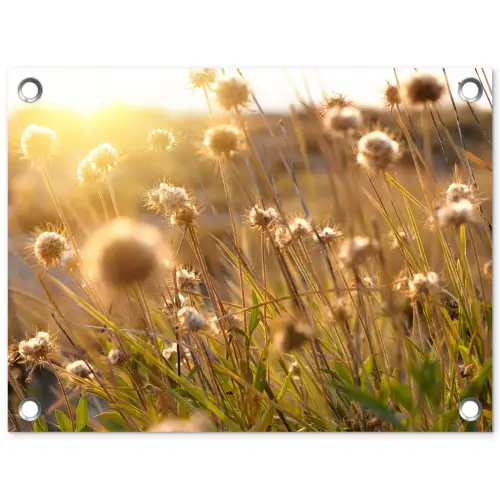 Planten - Natuur - Bloemen - Zon - Horizon tuinposter los doek klein -3d
