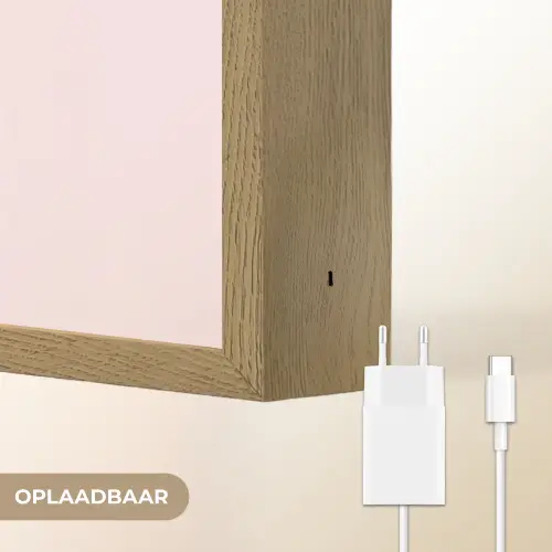 Cowboylaarzen - Roze - Boeket - Bloemen Light Box met batterij (Wandlamp) middel -USP_websiteoplaadbaarNL