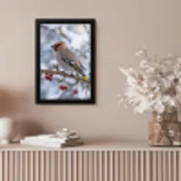 Pestvogel - Bessen - Winter - Natuur fotolijst zwart zonder passe partout klein -sfeer5
