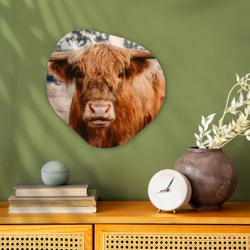 Koe- Schotse hooglander - Hoorns - Bruin - Landschap Wandcirkel Organisch Forex 3mm klein -sfeer2