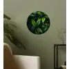 Bladeren - Regendruppels - Licht - Groen Wandcirkel behangsticker klein -sfeer2