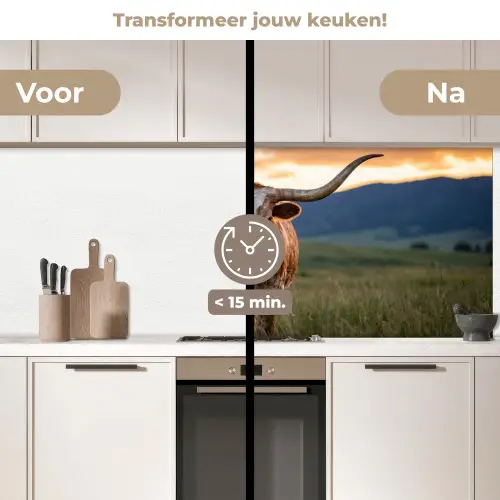 Longhorn - Landschap - Zonsondergang keuken achterwand 2 middel -voor-na2_NL