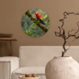 Ara - Jungle - Rood Wandcirkel kunststof plaat 5mm dik klein -sfeer1