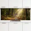 Zonlicht - Bospad - Bomen keuken achterwand 2 middel -3d