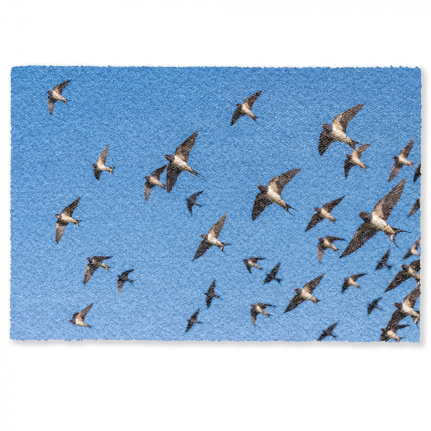 Zwaluwen - Vliegen - Blauw Deurmat klein -zkaufland3d