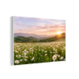 Madelief - Veld - Heuvels - Groen forex 5mm xxl -3d